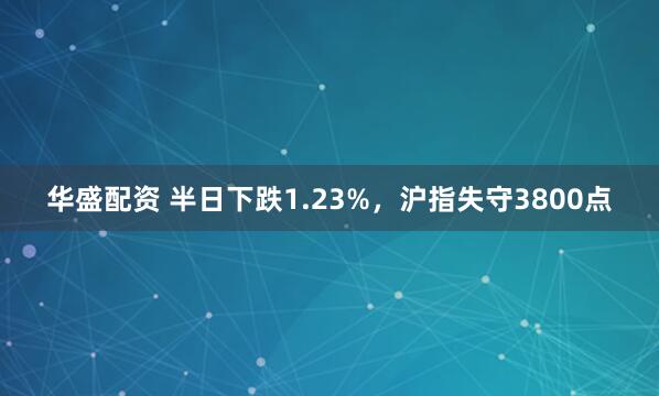华盛配资 半日下跌1.23%，沪指失守3800点