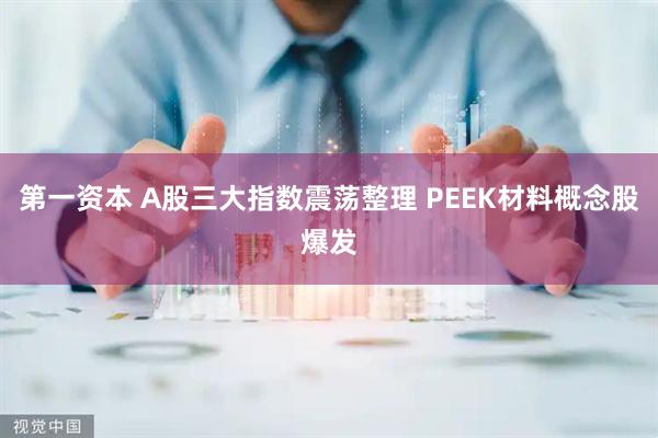 第一资本 A股三大指数震荡整理 PEEK材料概念股爆发