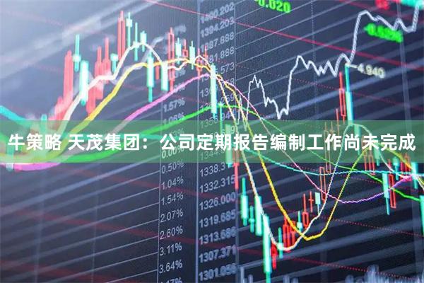 牛策略 天茂集团：公司定期报告编制工作尚未完成