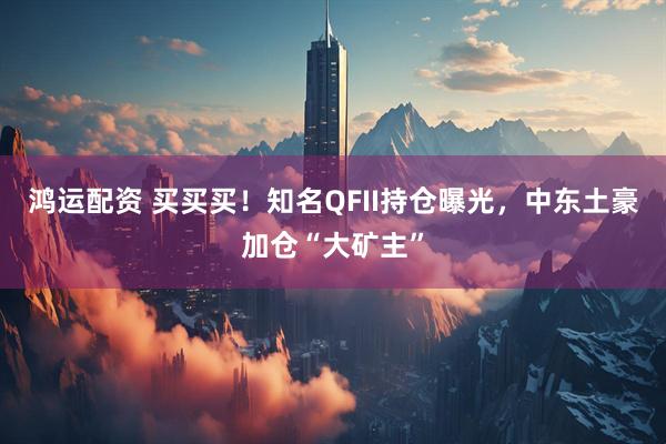 鸿运配资 买买买！知名QFII持仓曝光，中东土豪加仓“大矿主”
