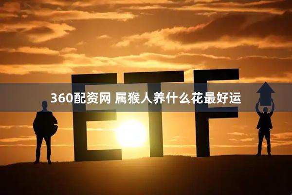 360配资网 属猴人养什么花最好运